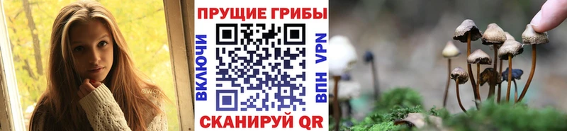 Галлюциногенные грибы Magic Shrooms  Купить где  Мирный 