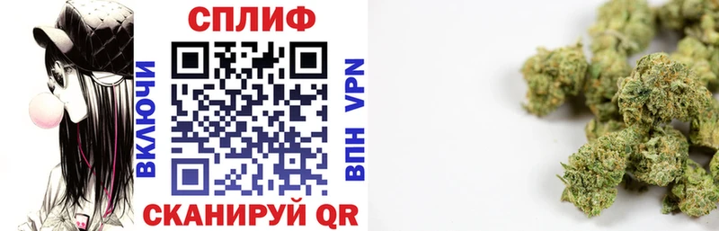 МАРИХУАНА ГИДРОПОН  Купить где  Мирный 